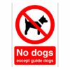 No Dogs Except Guide Dogs Sign