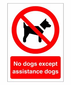 No Dogs Except Assistance Dogs Sign
